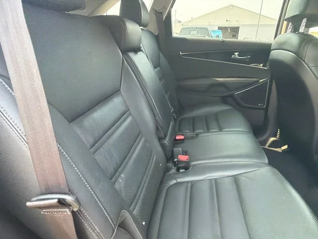 Used 2017 Titanium Silver Kia SX V6 image 13
