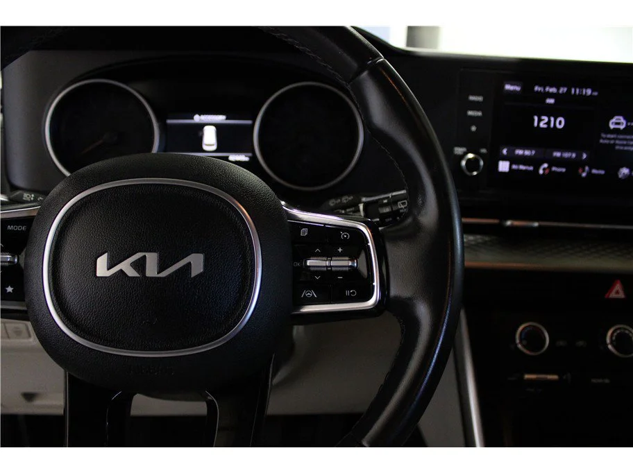 Used 2024 Panthera Metal Kia LX image 20