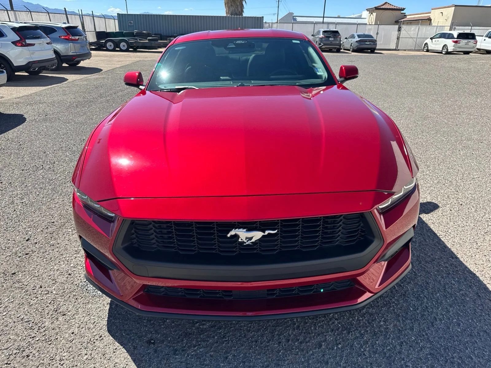 Used 2024 Red Ford EcoBoost Premium image 2