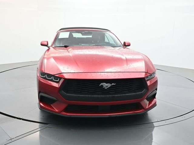 Used 2024 Red Ford EcoBoost Premium image 2