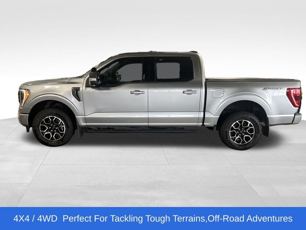 Used 2023 Ford F-150 XLT with VIN 1FTFW1E84PFC67680 for sale in Northfield, Minnesota