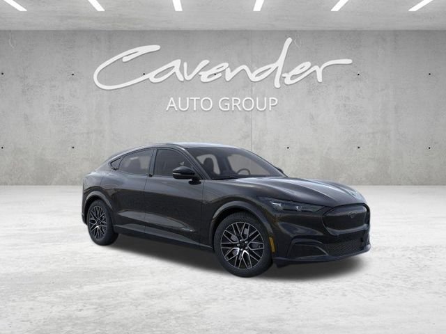 New 2026 Shadow Black Ford Premium image 8