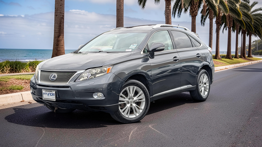 2010 Lexus RX 350 450h Hybrid AWD's photo