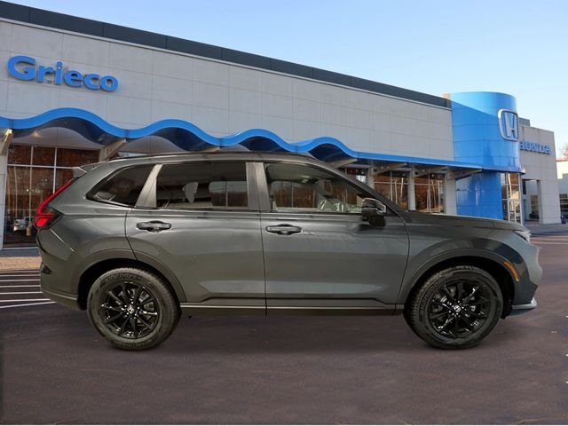 New 2026 Meteorite Gray Metallic Honda Sport-L image 8