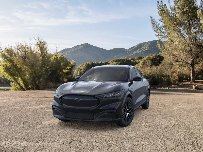 New 2026 Shadow Black Ford Premium image 3