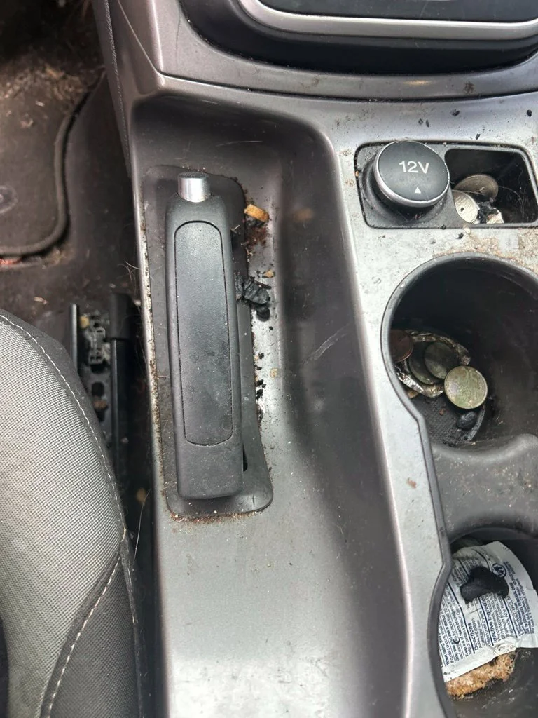 Used 2013  Ford SE image 4