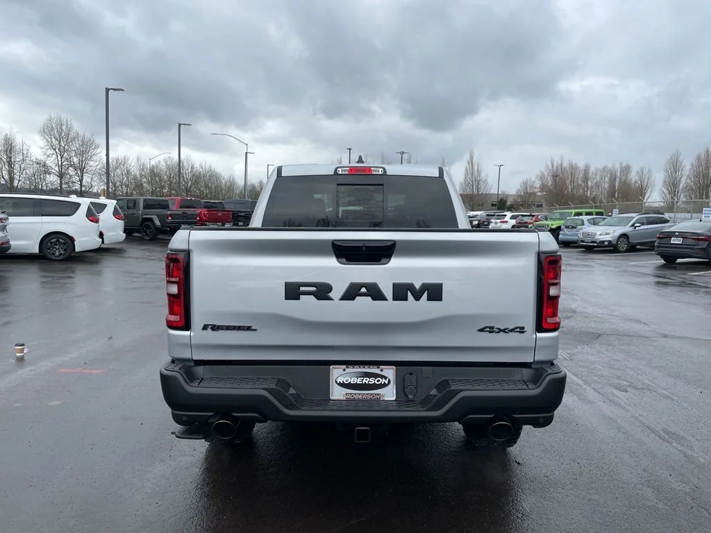 New 2026 Silver Zynith Exterior Paint RAM Rebel image 4