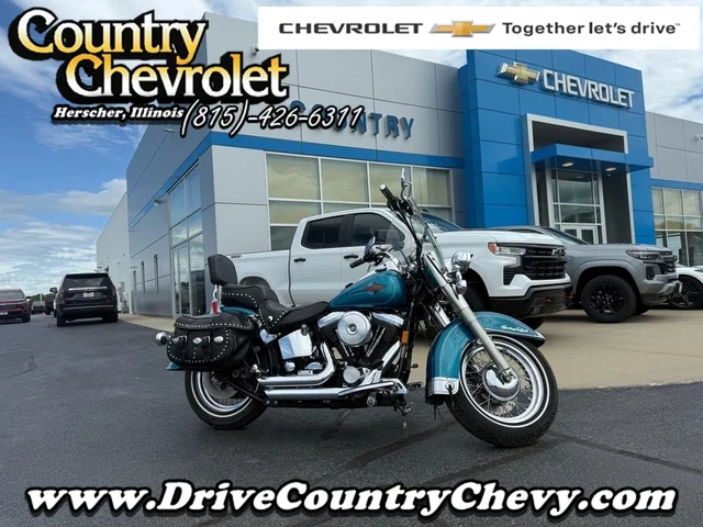 1995 HARLEY DAVIDSON FLSTS HERITAGE S