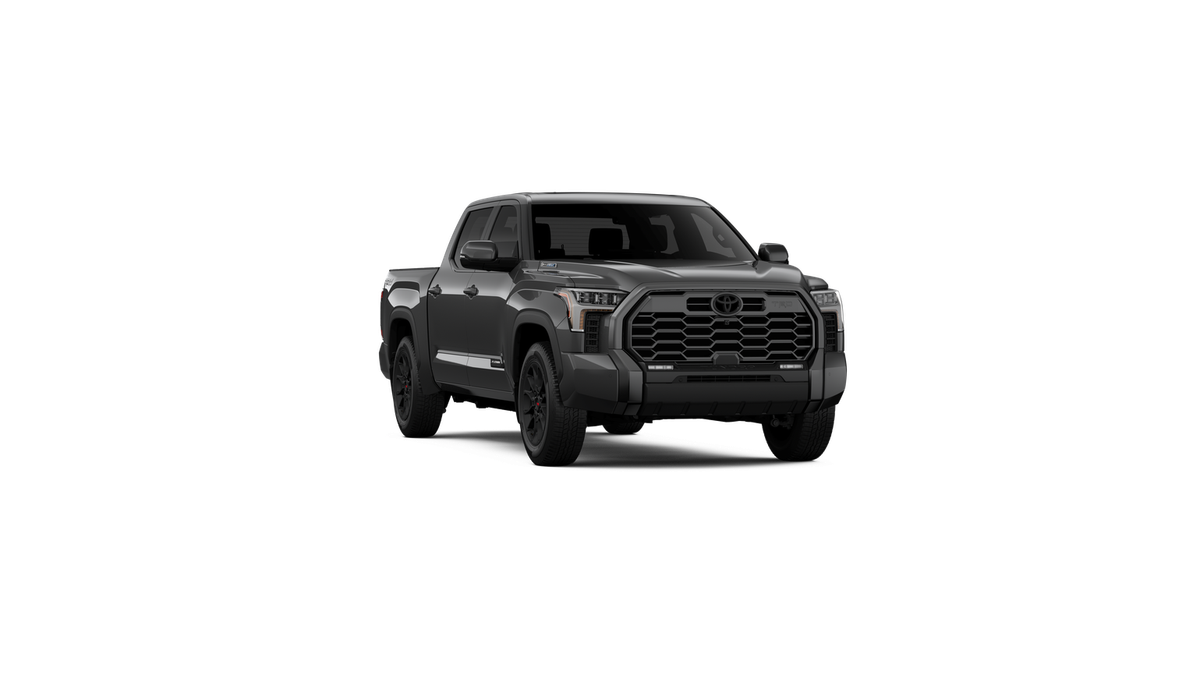 New 2026 Magnetic Gray Metallic Toyota Platinum image 31