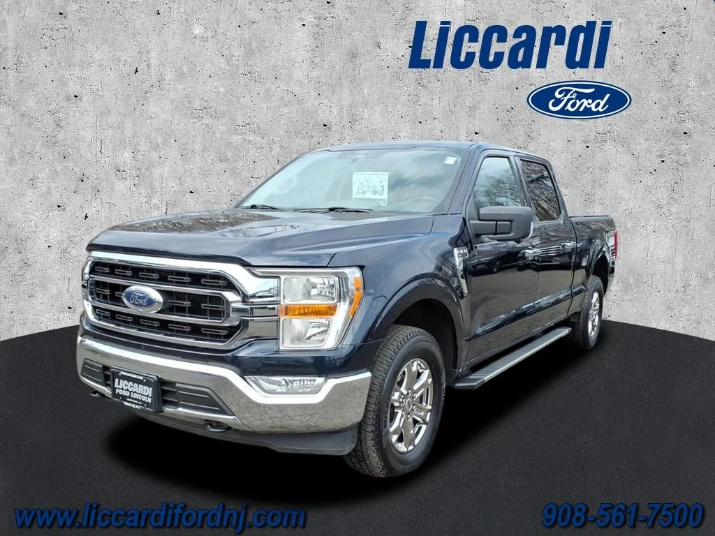 Used 2023 Blue Ford XLT image 3