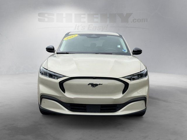 Used 2025 Beige Ford Premium image 14