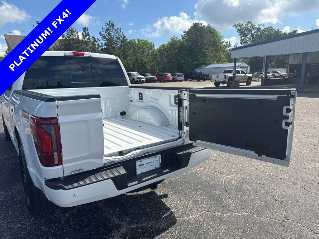 Used 2025 White Ford Platinum image 8