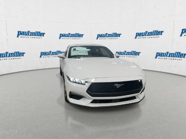 New 2026 Oxford White Ford EcoBoost® Fastback image 3