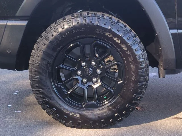 Used 2025 Black Ram Rebel image 19