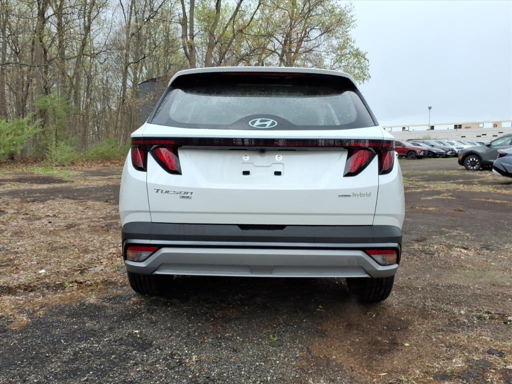 New 2026 Creamy White Pearl Hyundai Blue image 6