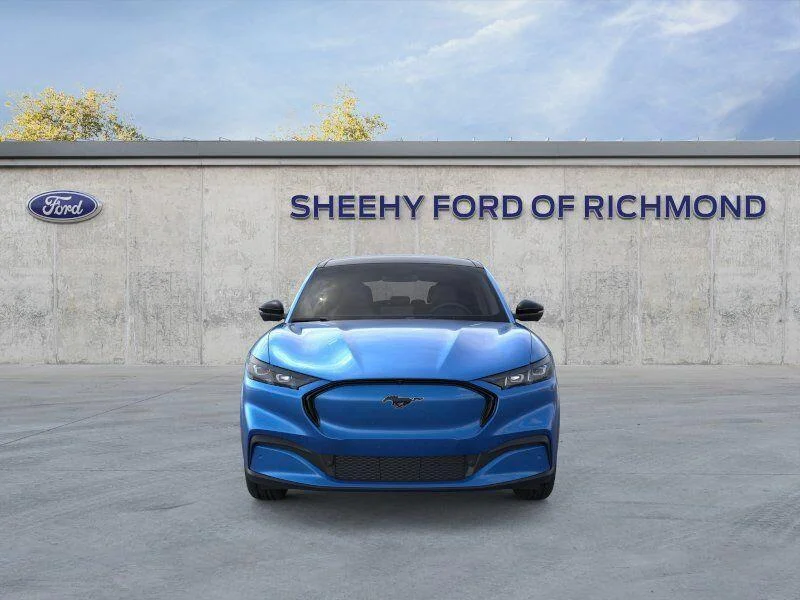 New 2026 Velocity Blue Metallic Ford Premium image 7