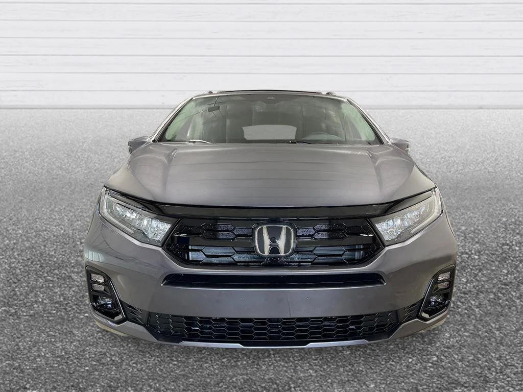New 2026 Modern Steel Metallic Honda Elite image 10