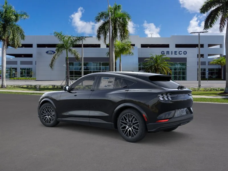 New 2026 Shadow Black Ford Premium image 19