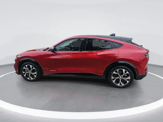 Used 2023 Red Ford Premium image 6
