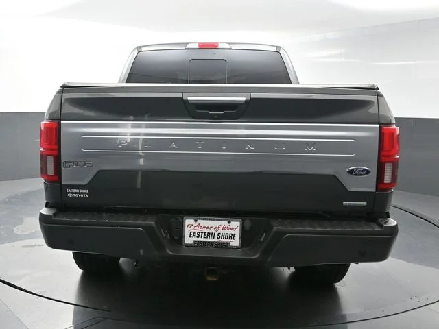 2019 Ford F-150 Platinum - Photo 6