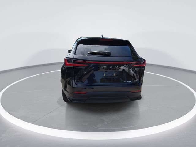 2023 Lexus NX 250 - Photo 6