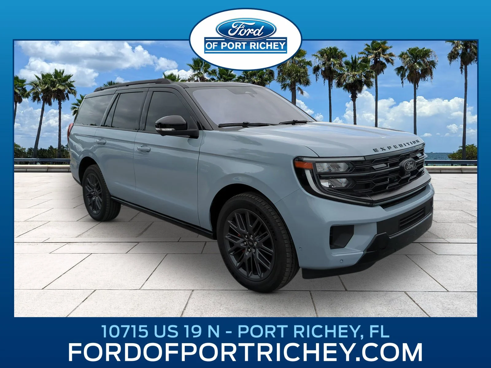 2025 Ford Expedition Platinum 4x4's photo