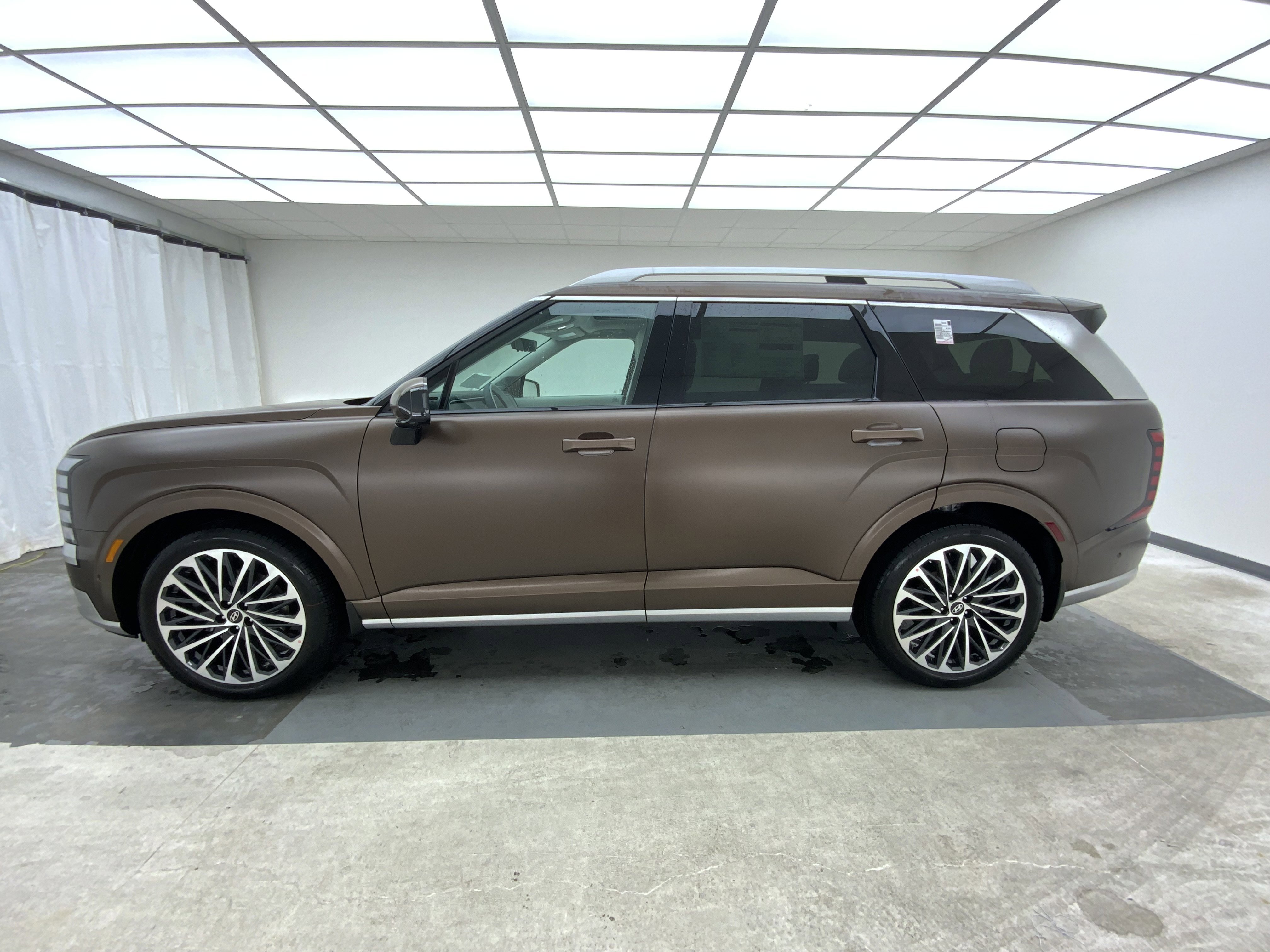 New 2026 Earthy Brass Matte Hyundai Calligraphy image 2