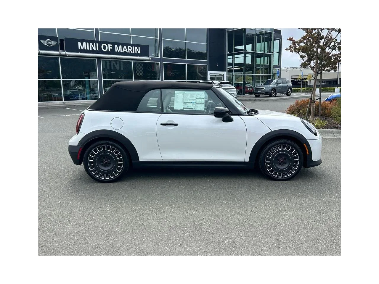 New 2026 Nanuq White Metallic MINI ICONIC image 6