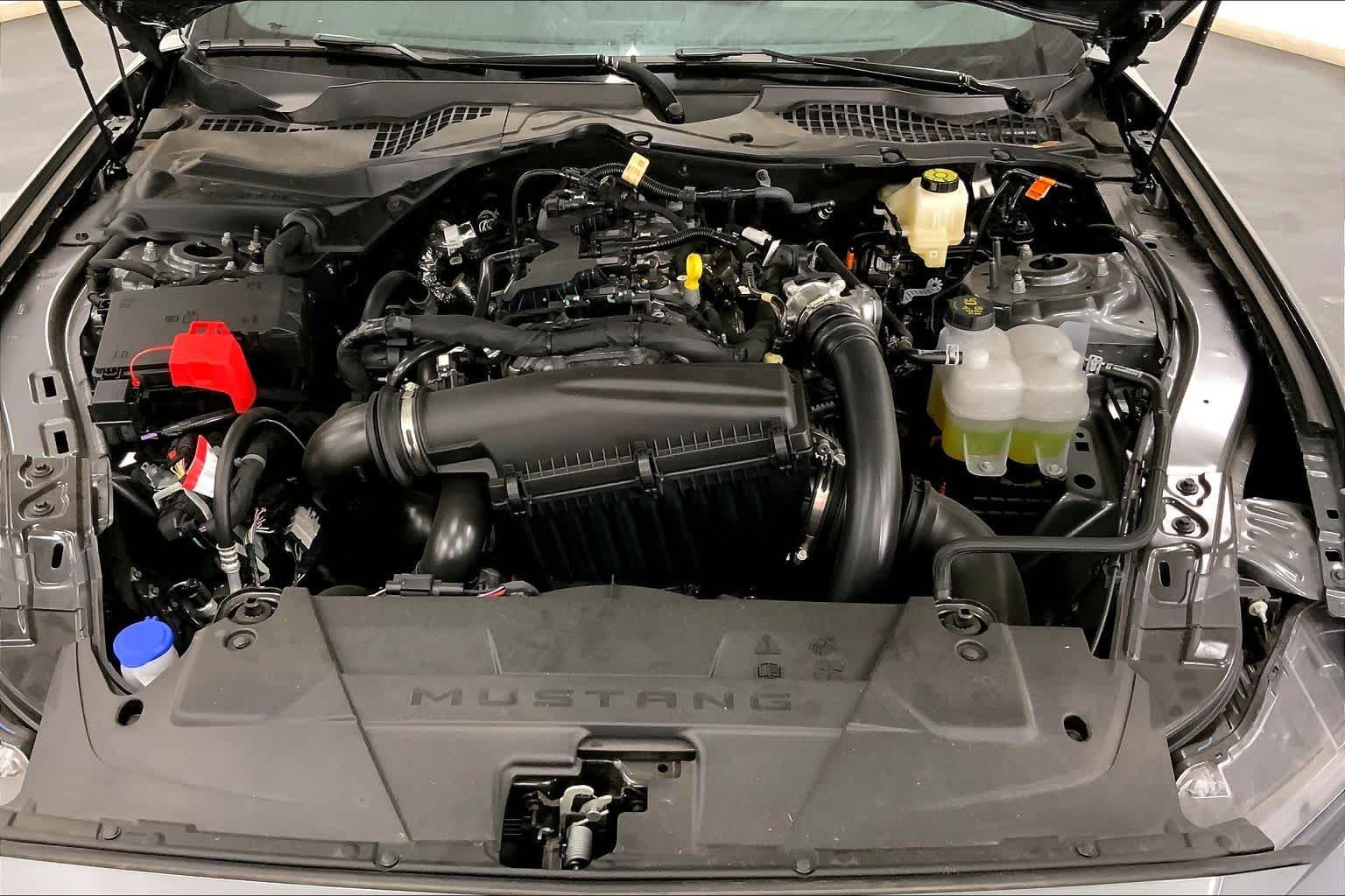 2025 Ford Mustang EcoBoost Fastback - Photo 15