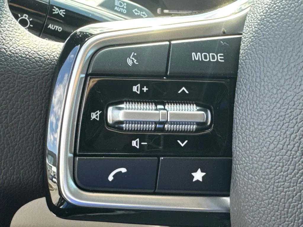 New 2026 Panthera Metal Kia LX image 22