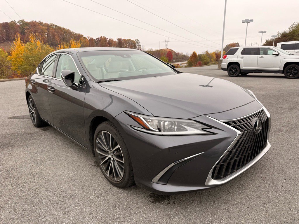 2022 Lexus ES 250 AWD photo 2