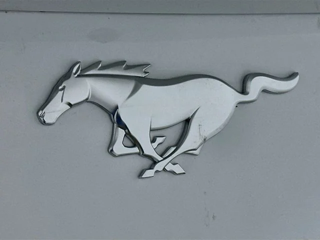 New 2026 White Ford EcoBoost image 21