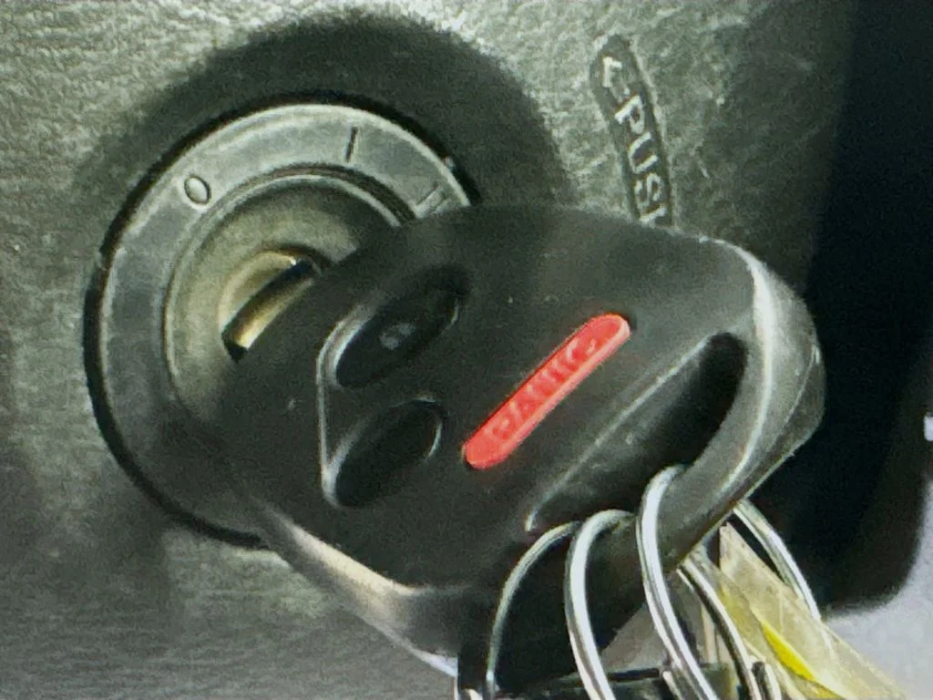 Used 2008 Silver Honda LX image 18
