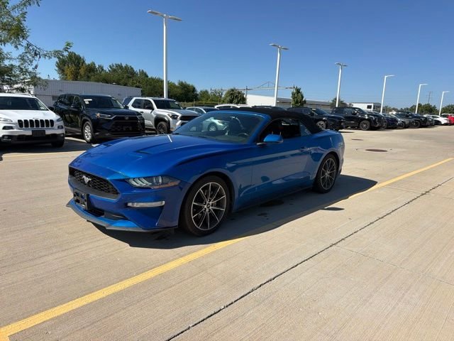 Used 2019 Blue Ford EcoBoost Premium image 3