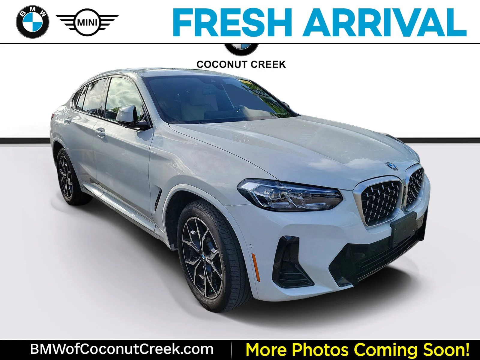2023 BMW X4 xDrive30i's photo