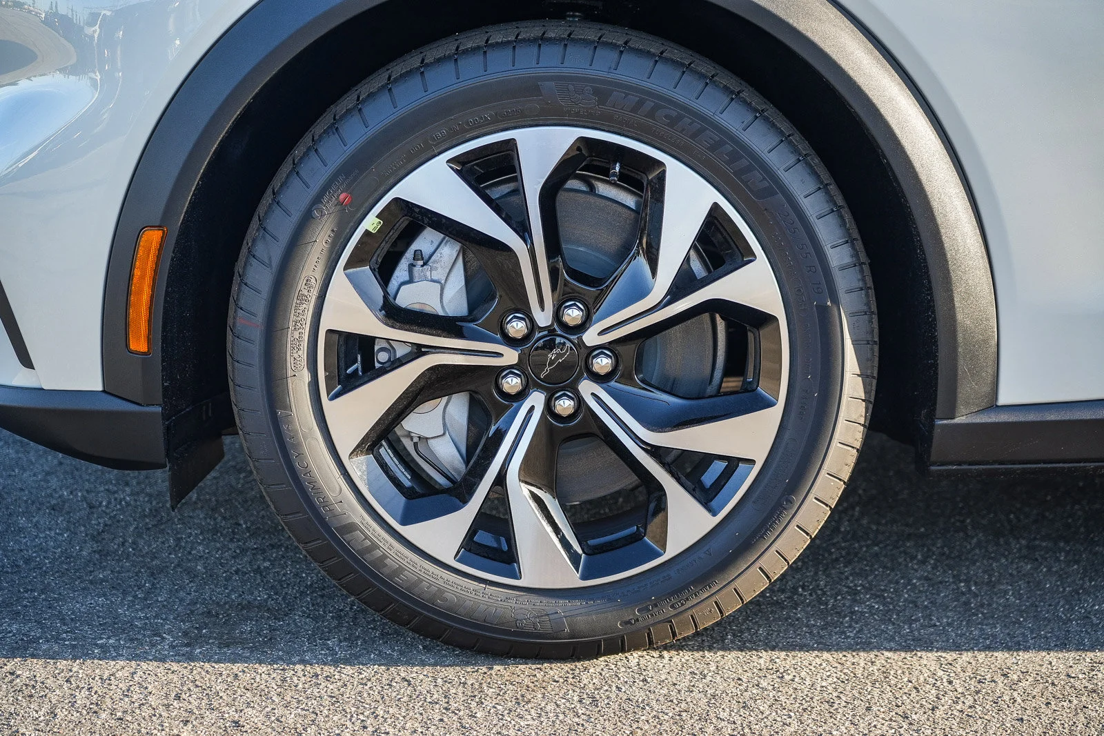 New 2026 Star White Metallic Tri-coat Ford Select image 10