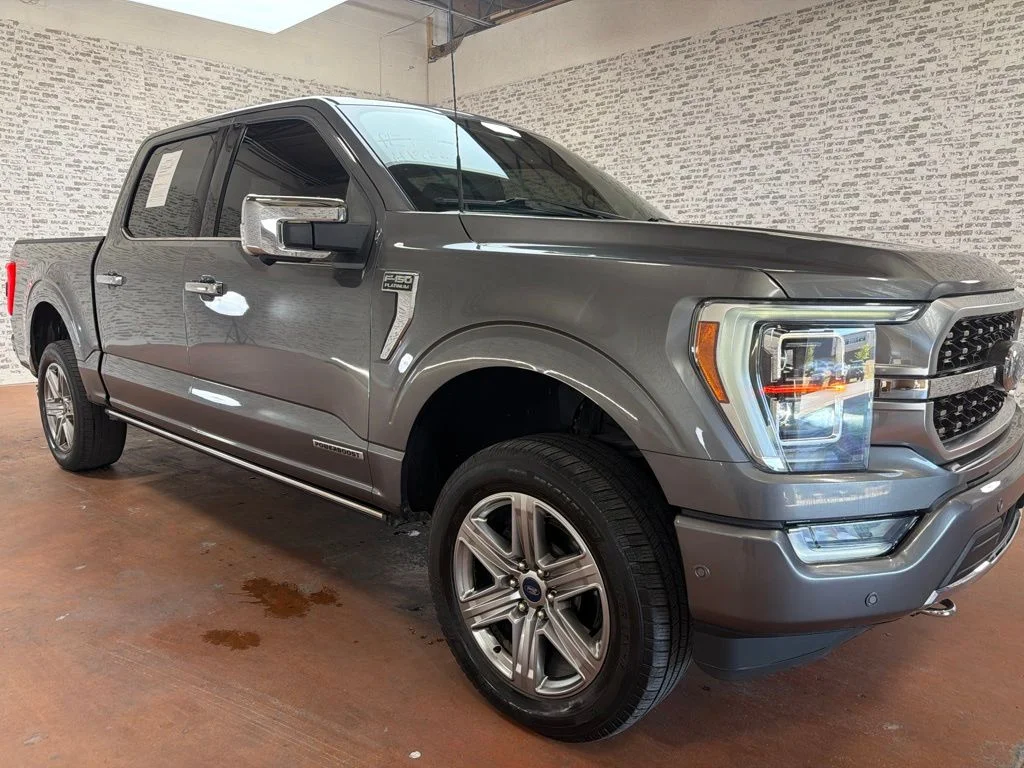 Used 2021 Guard Metallic Ford Platinum image 1