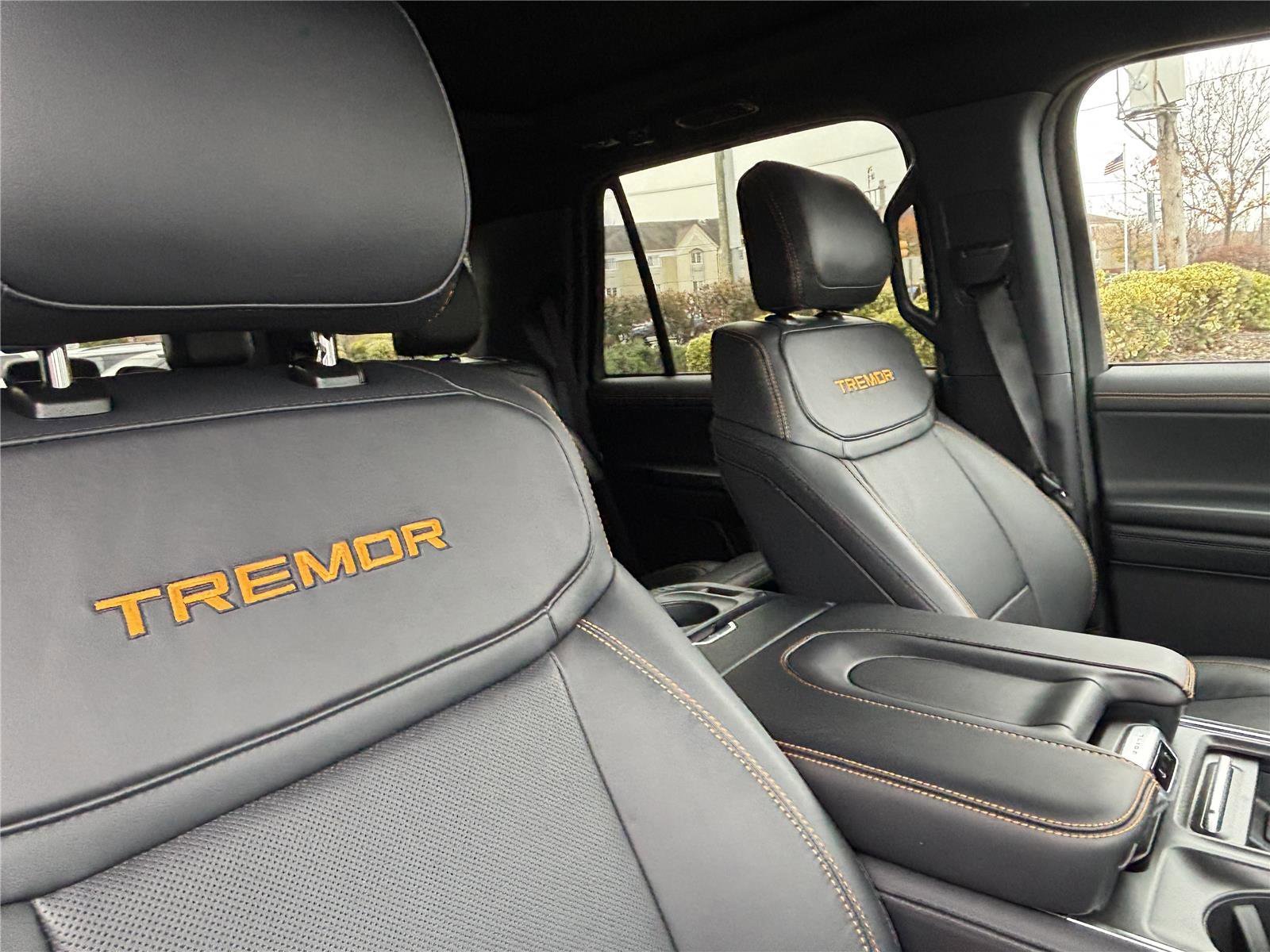 2025 Ford Expedition Tremor - Photo 29