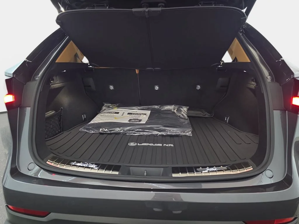 New 2026 Cloudburst Gray Lexus PREMIUM image 12