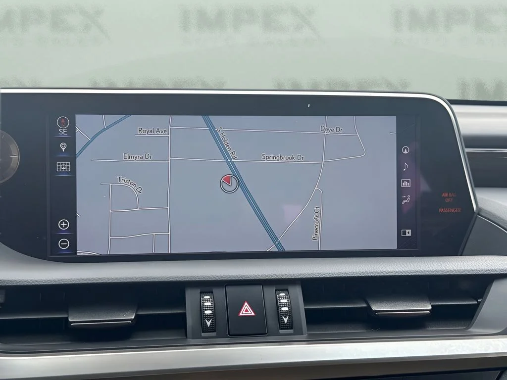 Used 2019 Black Lexus 300h Luxury image 10