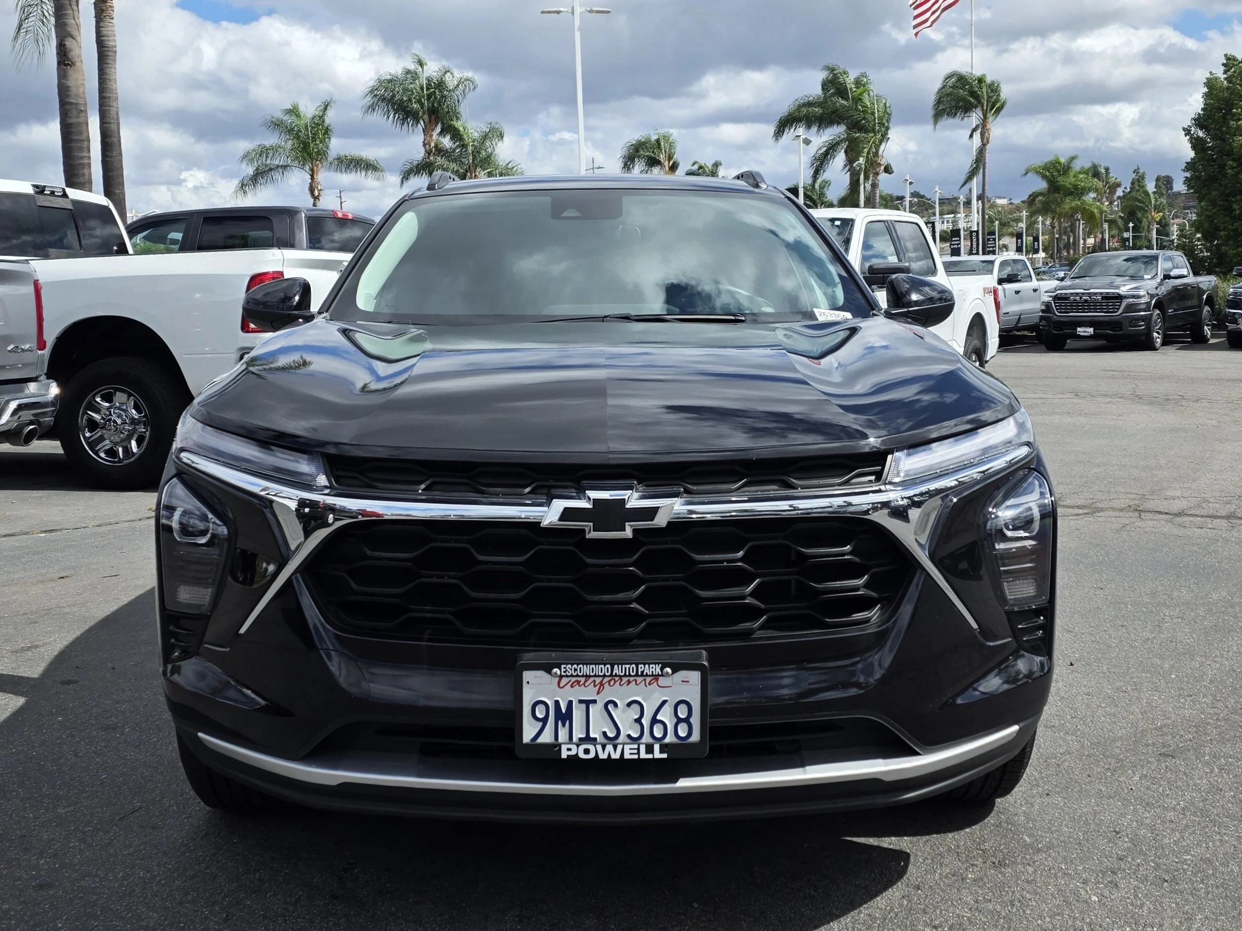 Photo 7