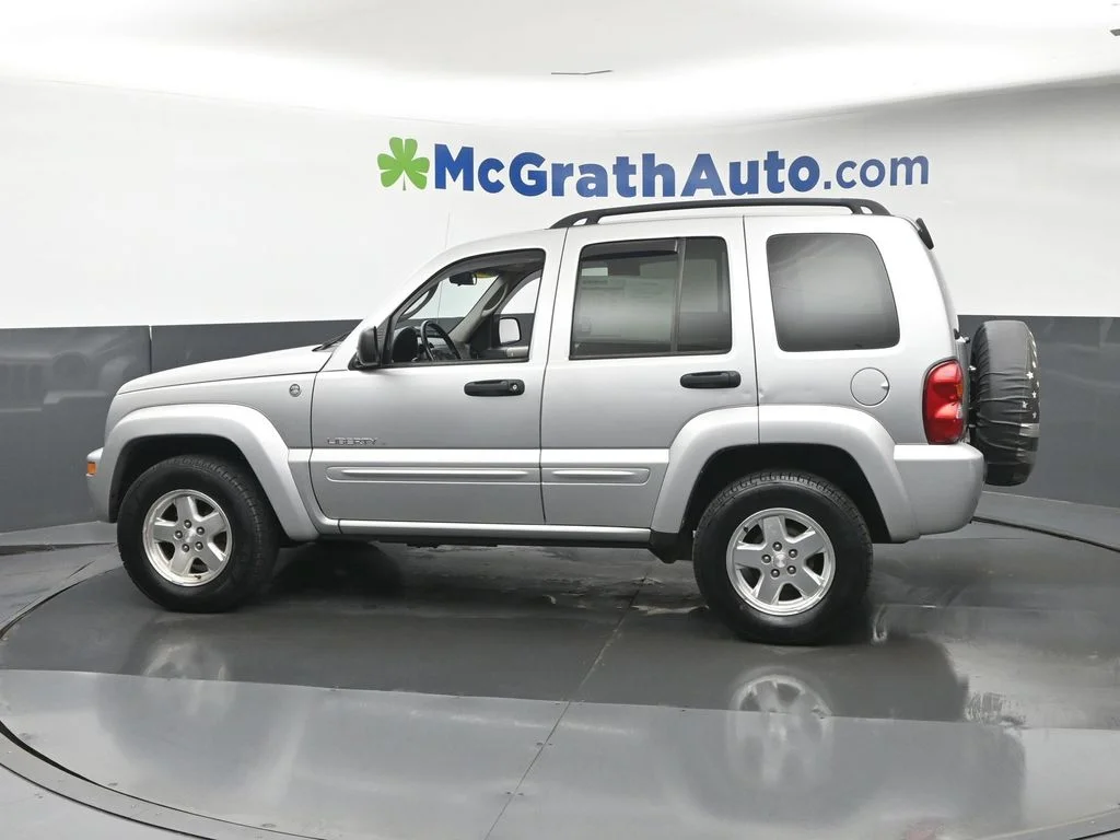 Used 2002 Silver Jeep Limited image 24