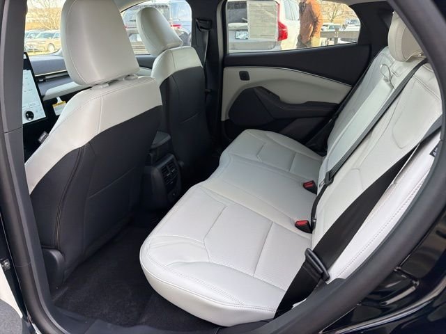 New 2026 Shadow Black Ford Premium image 8