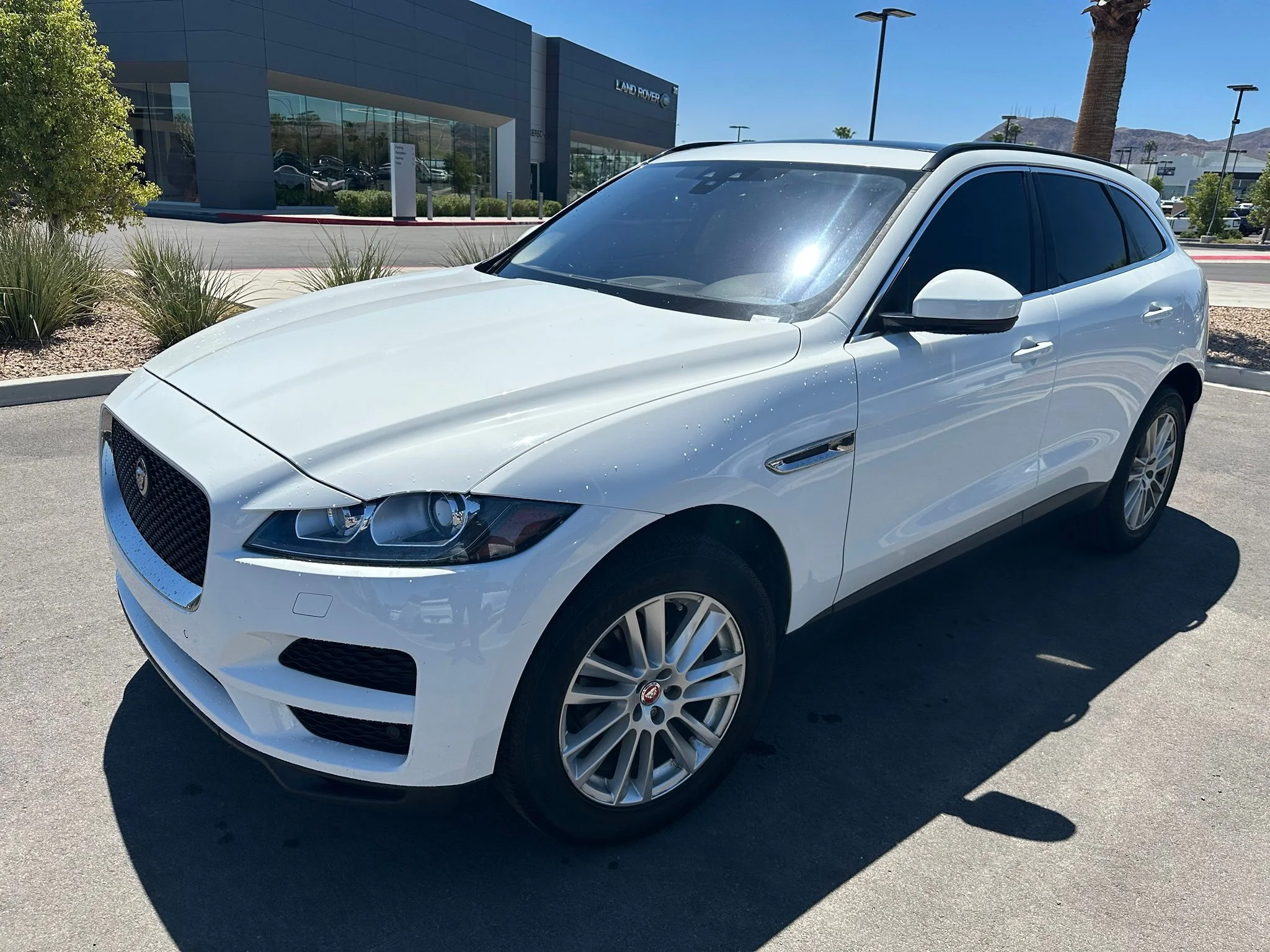 Used 2019 Fuji White Jaguar 25t Prestige image 1