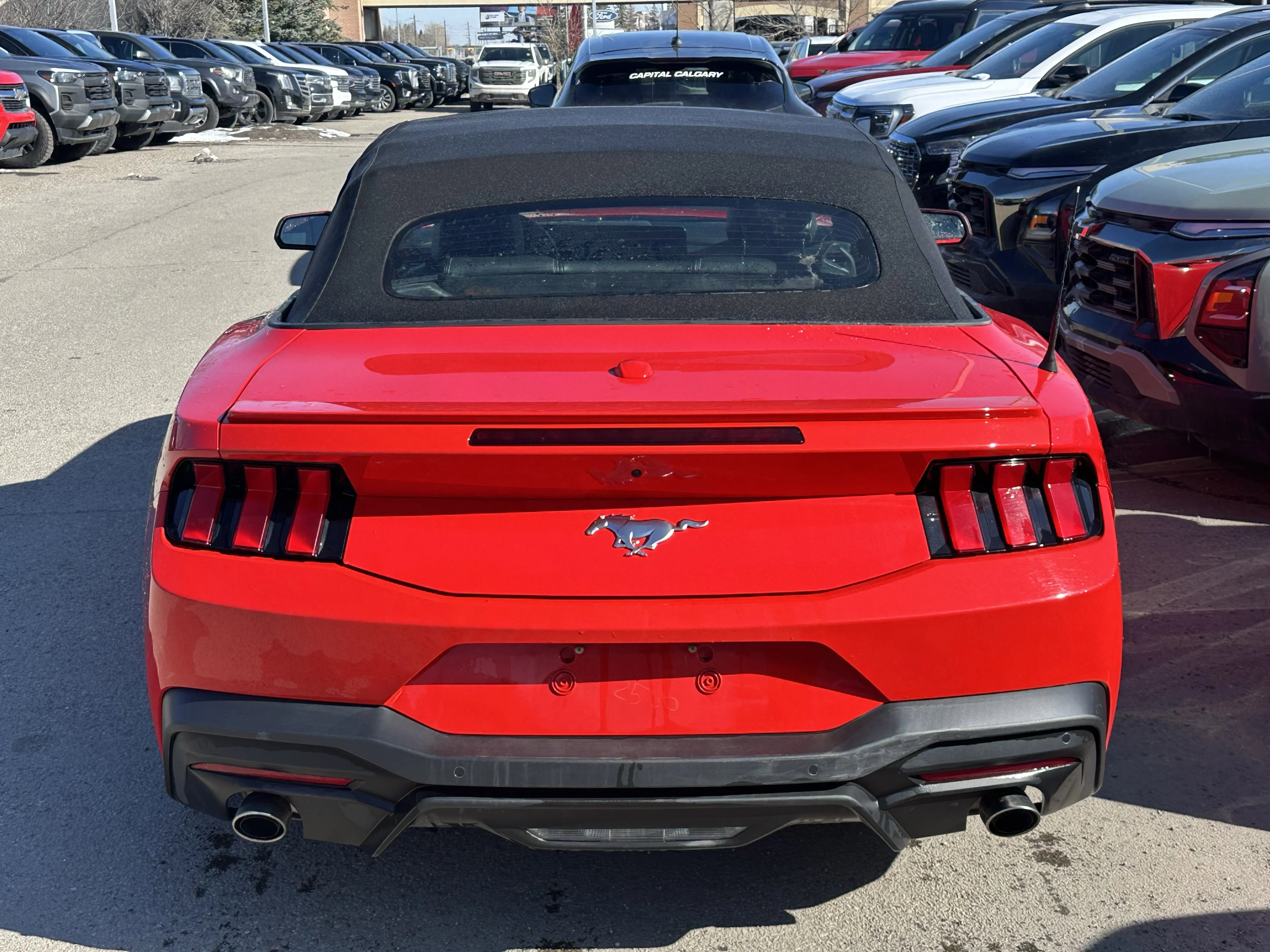 Certified Used 2025  Ford EcoBoost Premium image 5