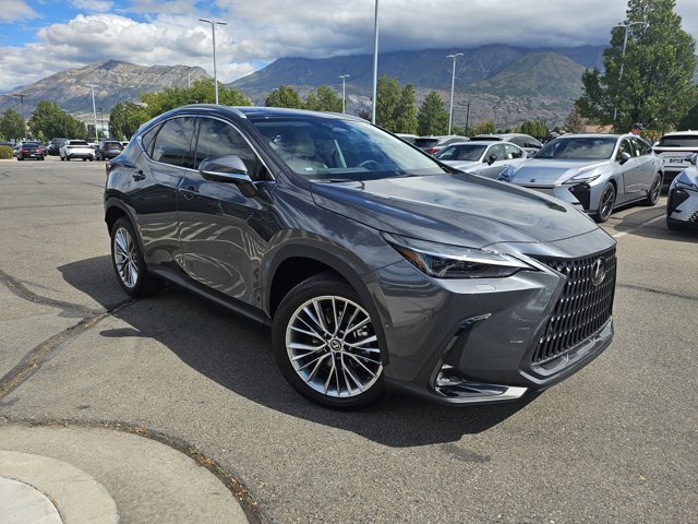 New 2026 Cloudburst Gray Lexus LUXURY AWD image 10