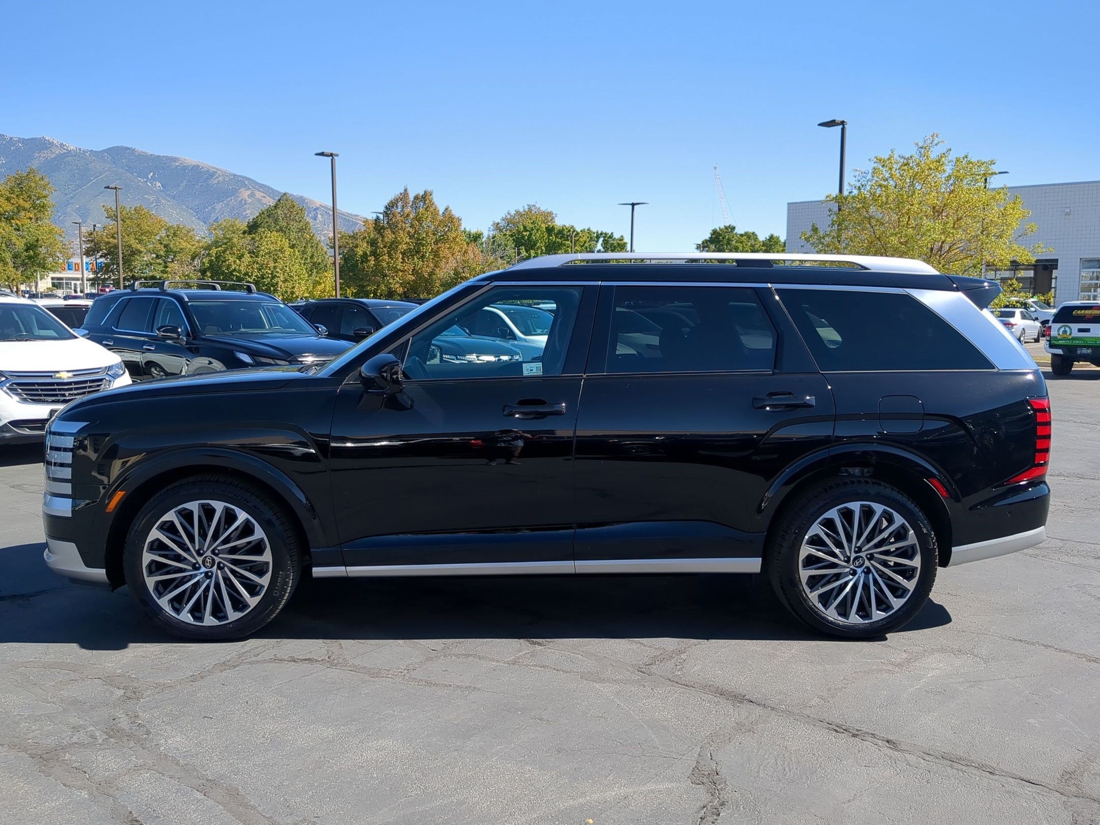 2026 Hyundai Palisade Calligraphy - Photo 7