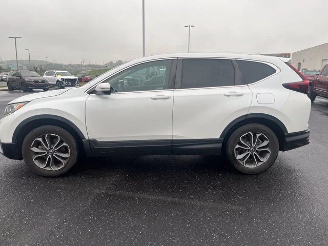 Used 2022 White Honda EX image 4