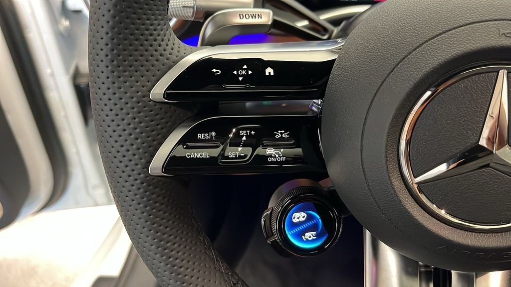 2025 Mercedes-Benz AMG GT Coupe 55 - Photo 14