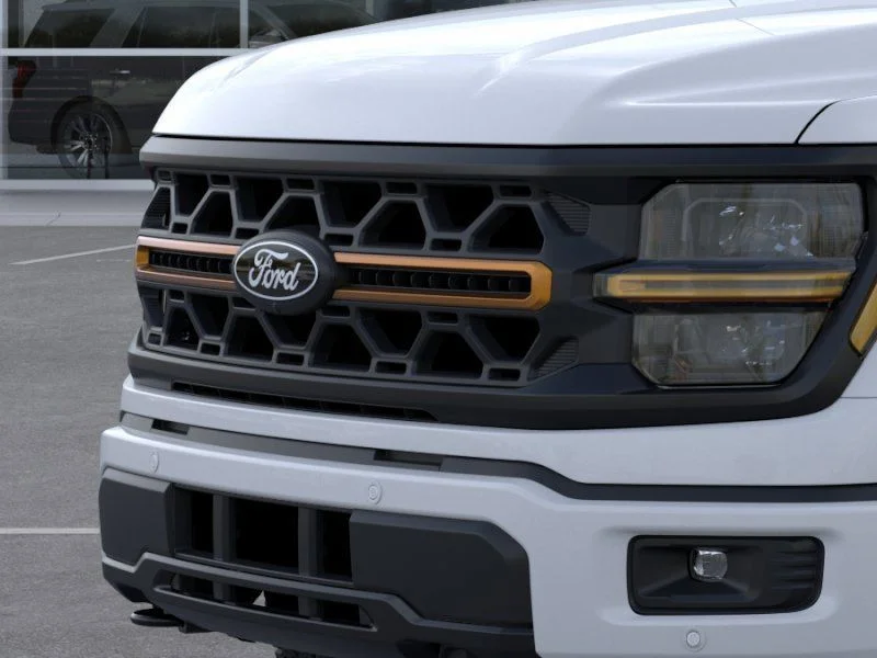 2025 Ford F-150 Tremor - Photo 17